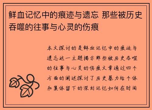 鲜血记忆中的痕迹与遗忘 那些被历史吞噬的往事与心灵的伤痕
